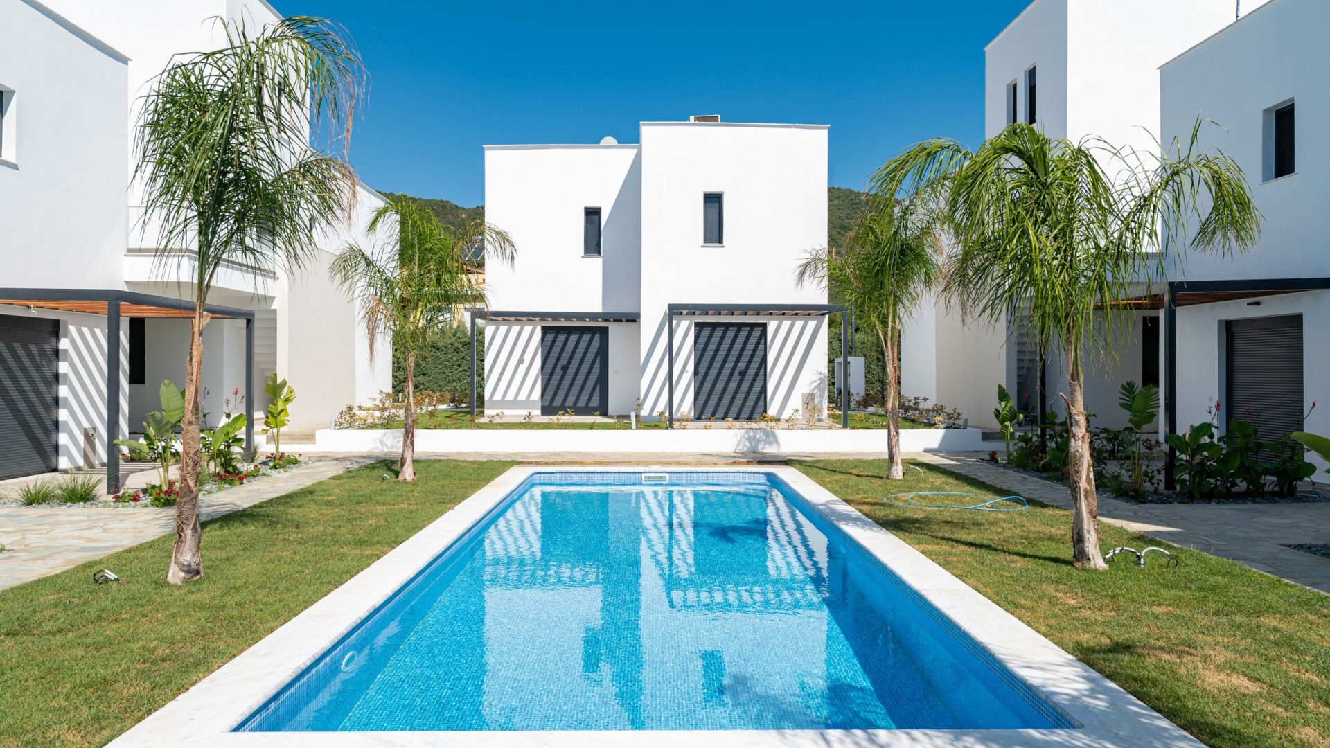 Blue Diamond 23-06-2025-100