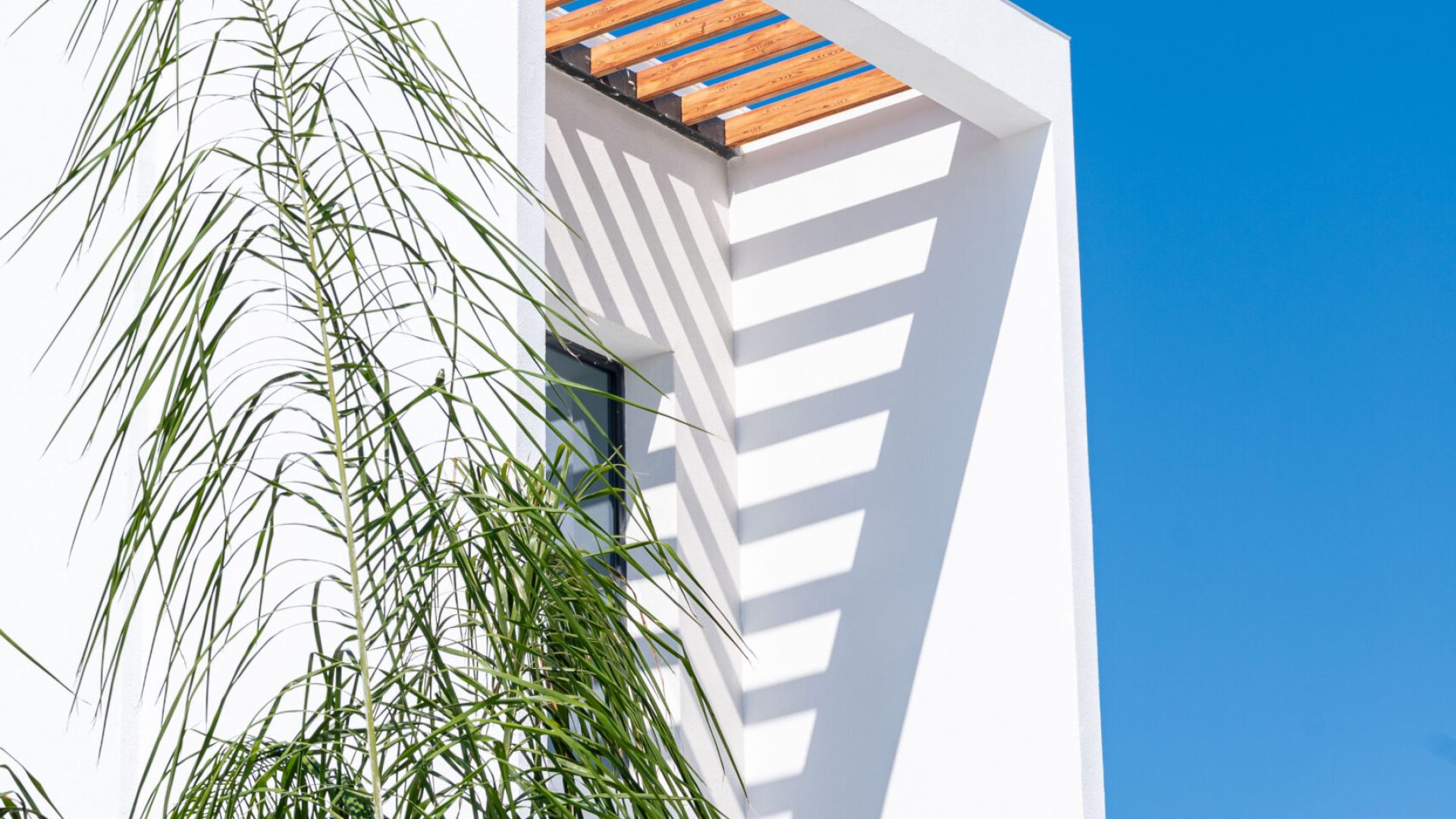 Blue Diamond 23-06-2025-157