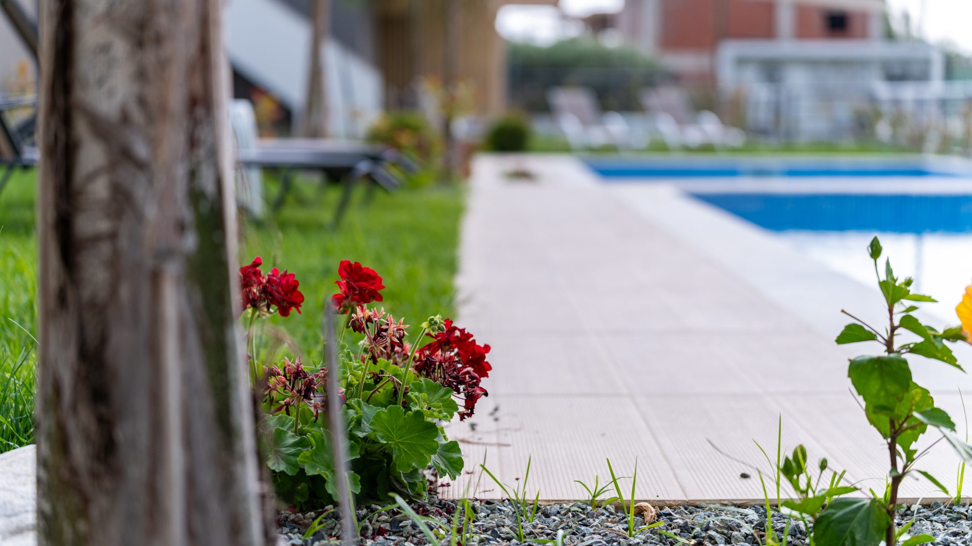 Danai B+D 10-06-2025 2000px-161