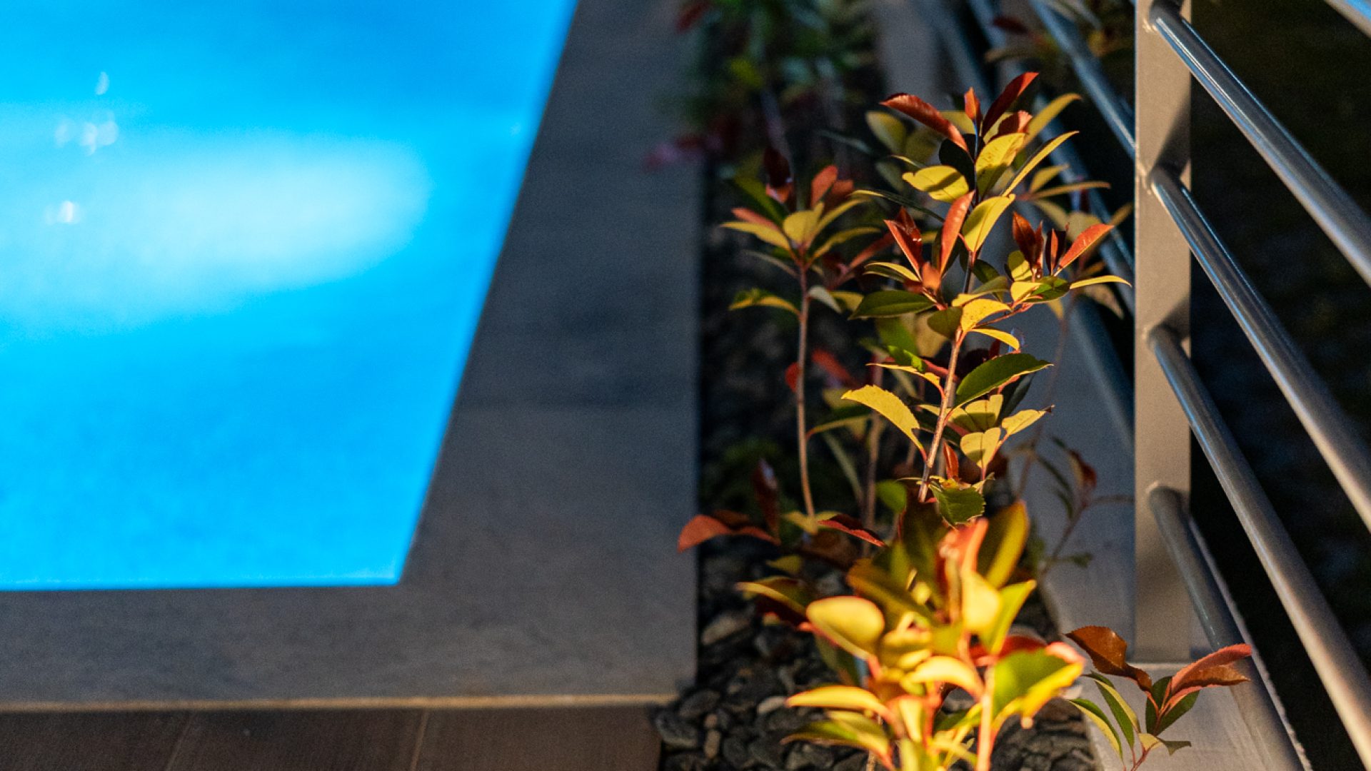 Danai B+D 10-06-2025 2000px-306