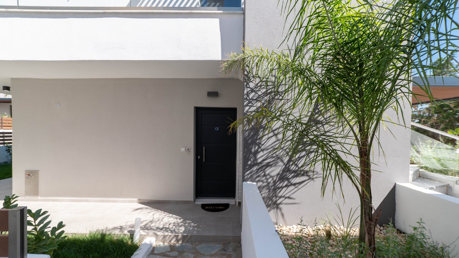 Diamond 12-09-2024-10