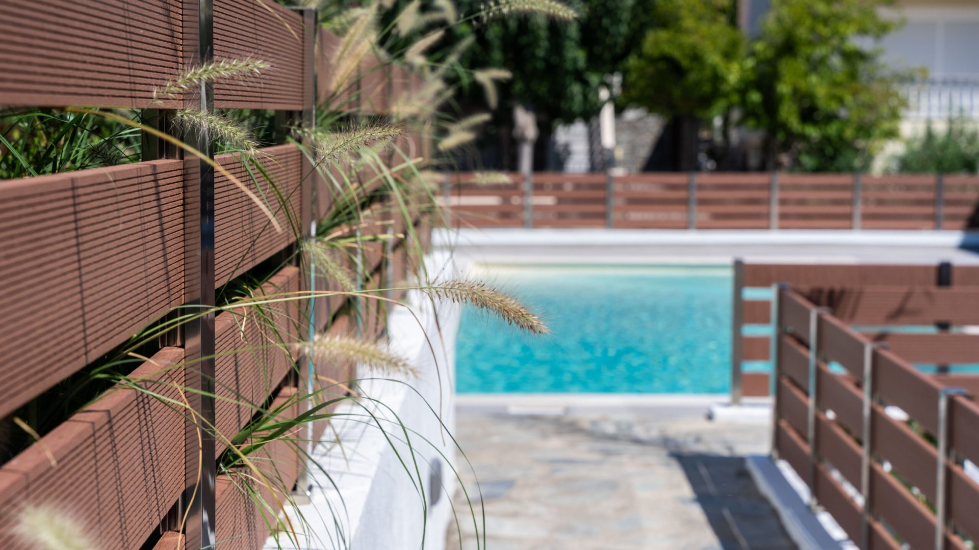 Diamond 12-09-2024-149