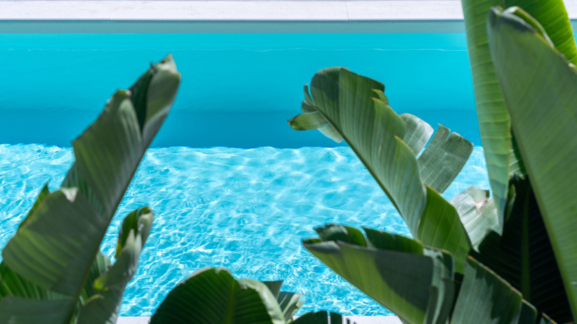 Diamond 12-09-2024-172