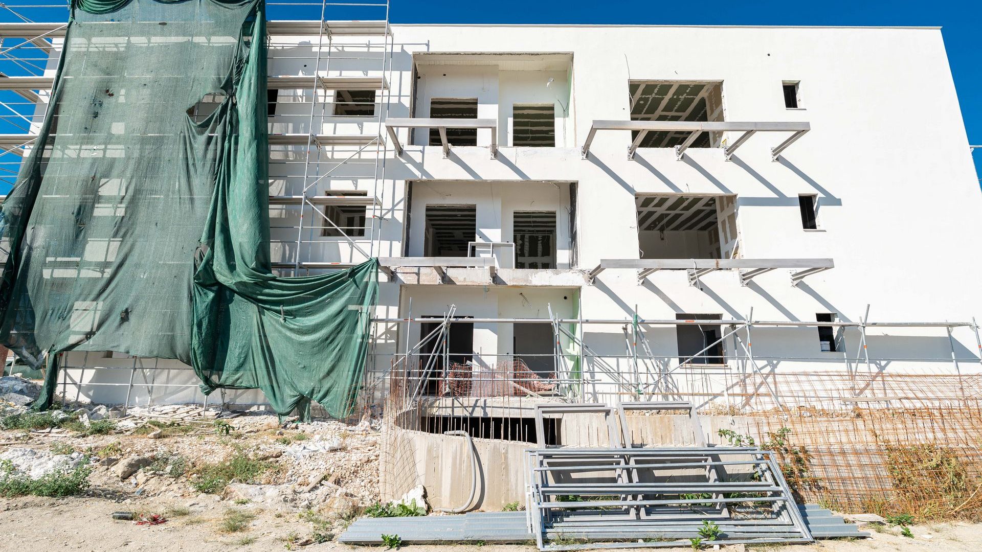 Dolphin 16-09-2025-64