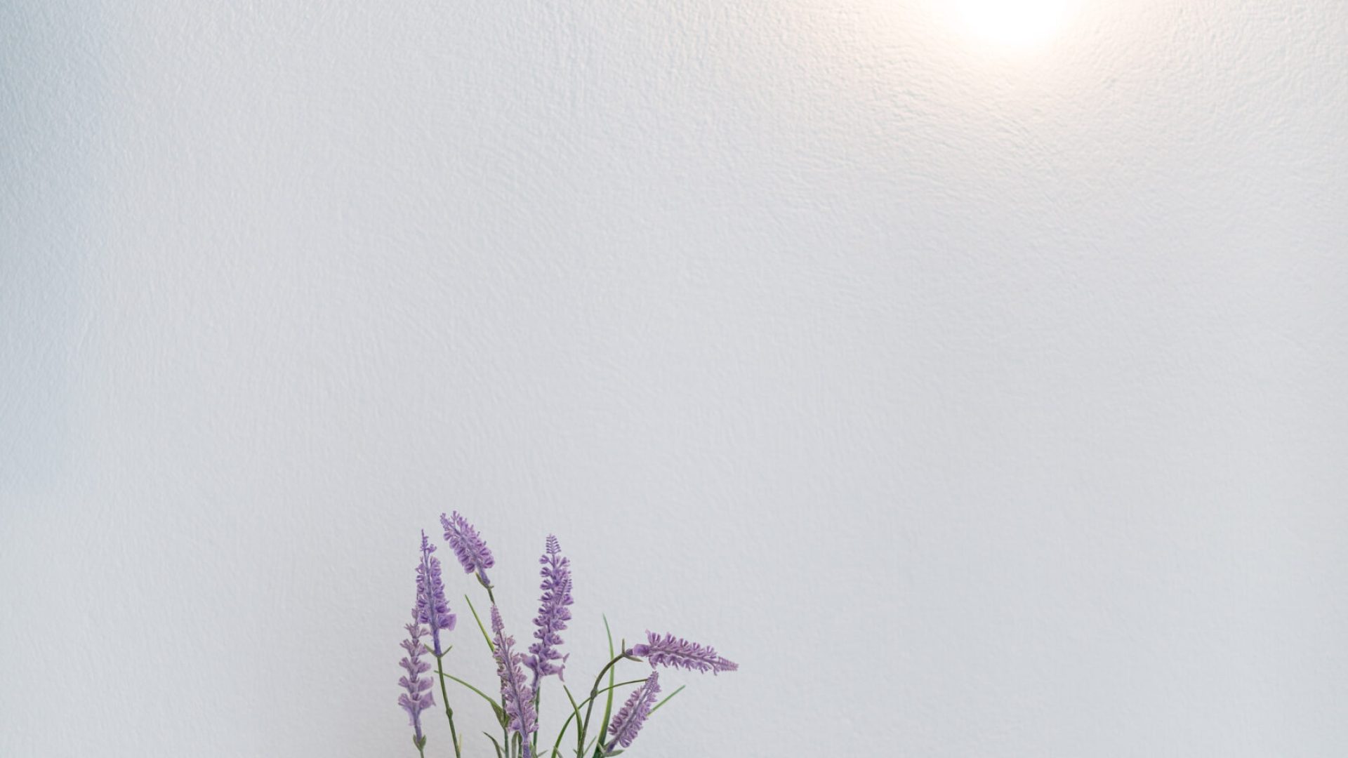 Emerald Island 6.3 20-08-2025-106