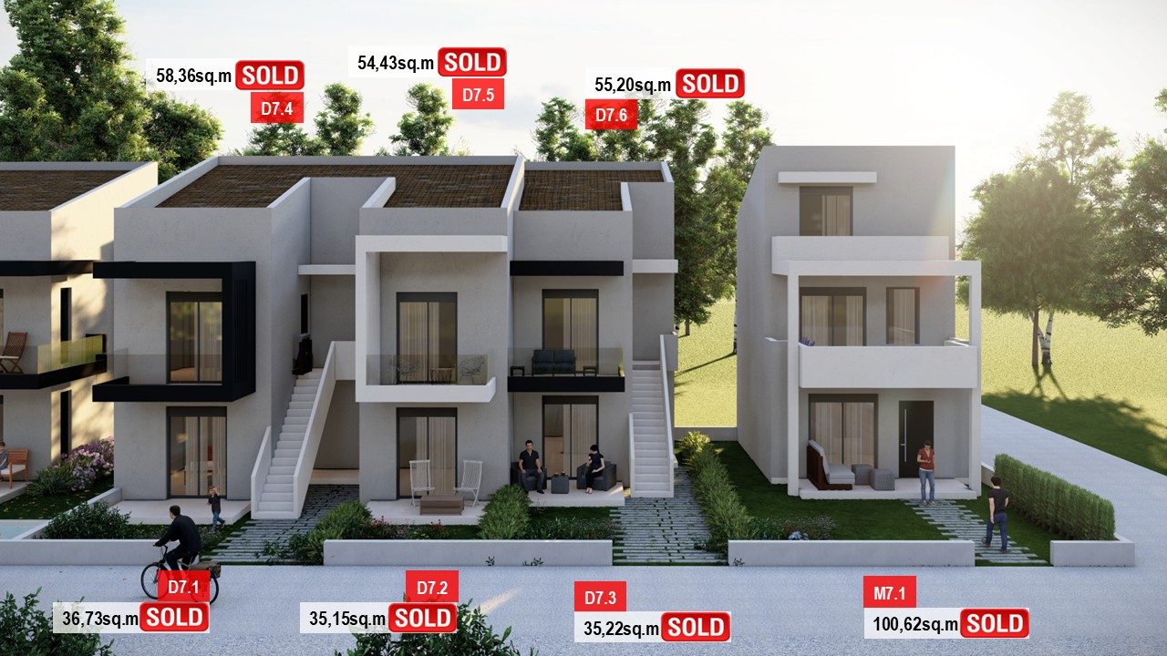 SOLD PHAEDRA 7