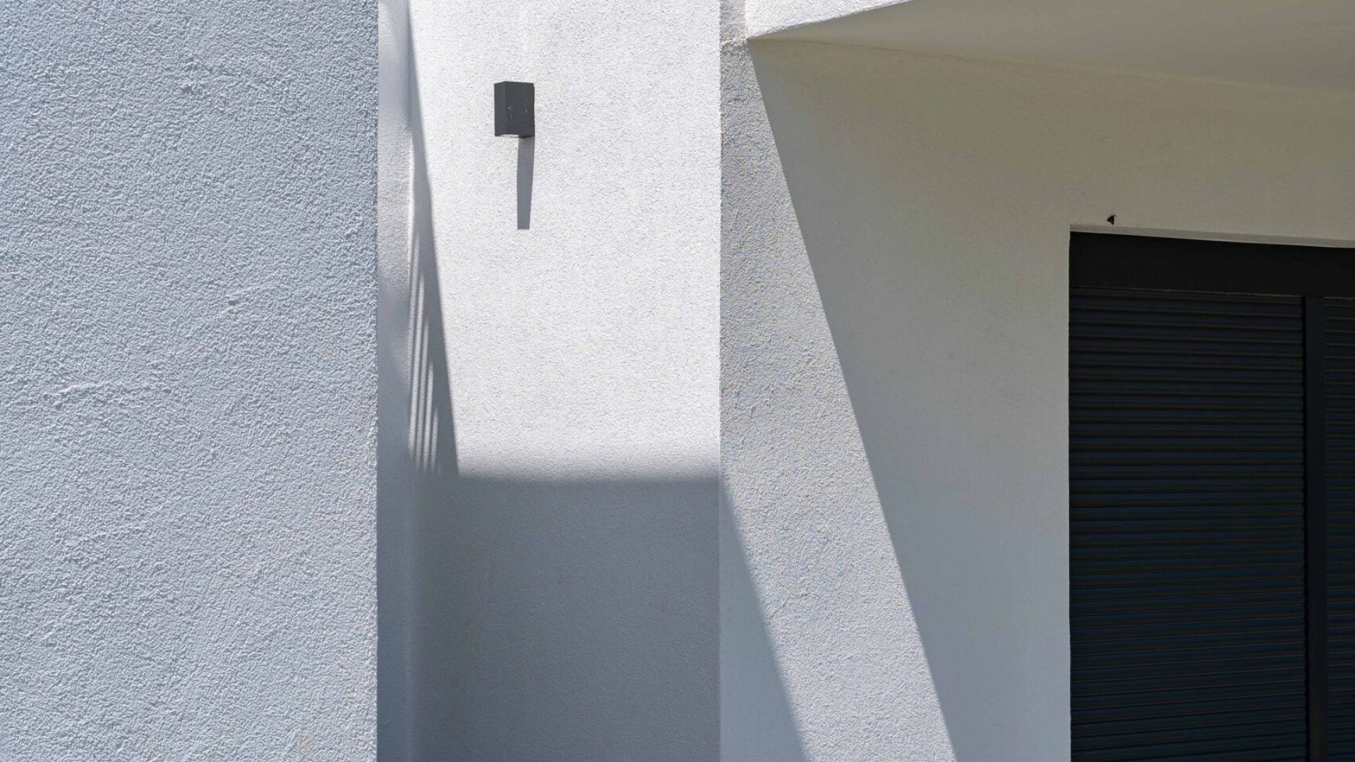 White Dream 25-06-2025-122